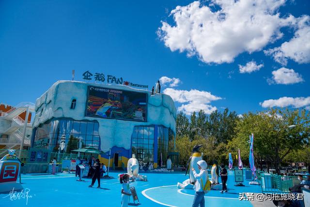 哈尔滨旅游攻略自由行攻略最新，哈尔滨一日游攻略