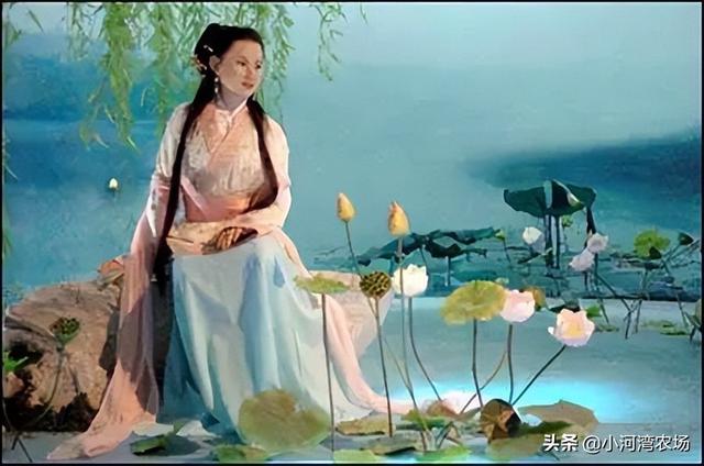 关于粽子的故事20字，粽子的故事（传说 ， 灰汤粽，西施粽）