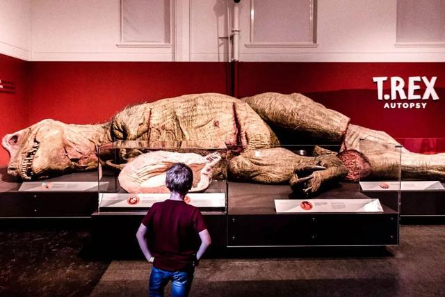 什么是具足虫，具足虫平安名堇（窥探奇异生物的世界）