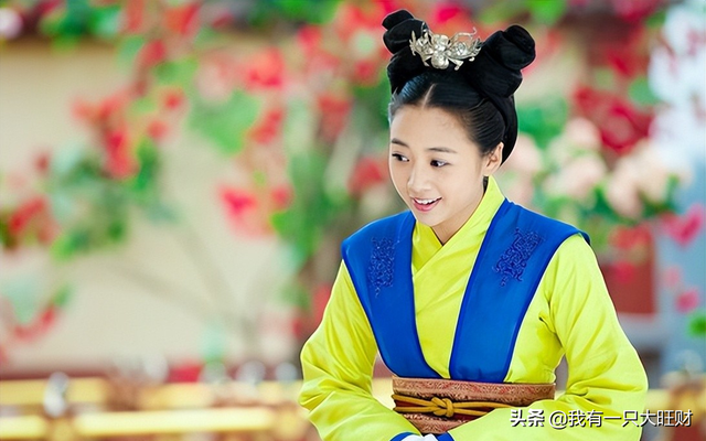 陆贞传奇剧情简介，电视剧陆贞传奇剧情介绍（《陆贞传奇》怕疼的何丹娘）