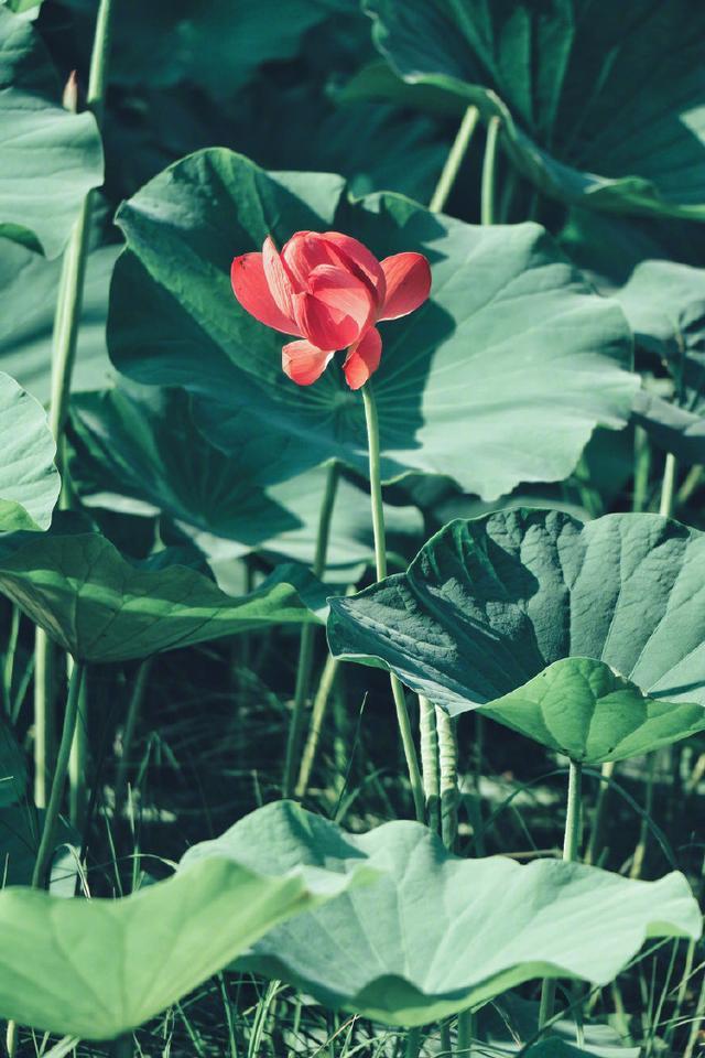 比较有道理的句子，十分有道理的句子（21条富含人生感悟的说说）