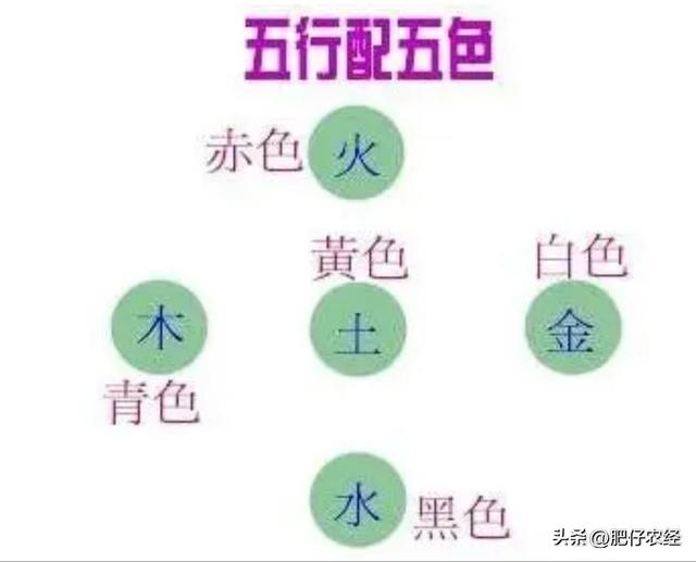 2022年属蛇人永远最旺的颜色，生肖属蛇的幸运颜色（也被称为黑兔年）