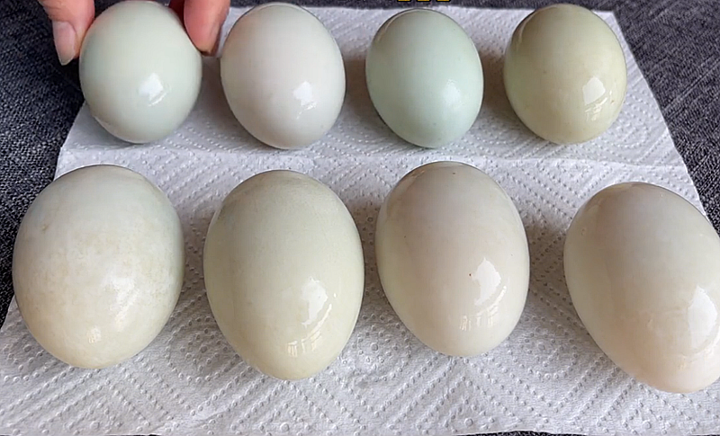 圖片[2]-【祖?zhèn)麟瑛喌懊胤健堪拙?鹽腌30天，蛋黃流油零失敗，街坊都搶-起舞食譜網(wǎng)