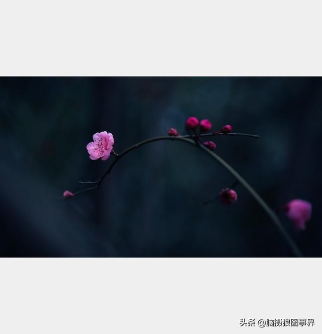 高光质感背景图，高清高级感背景图（若有这6个错误的深色背景照片）