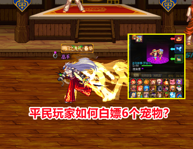 dnf宠物怎么获得，dnf心悦宠物怎么获得（轻松凑齐20个宠物）