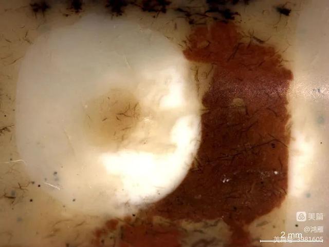 西藏天珠，神秘天珠，你知道多少（西藏天珠产自哪里）