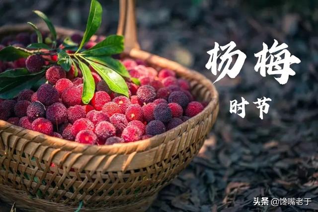 杨梅用洗嘛，杨梅用不用洗（别只会用盐水泡）