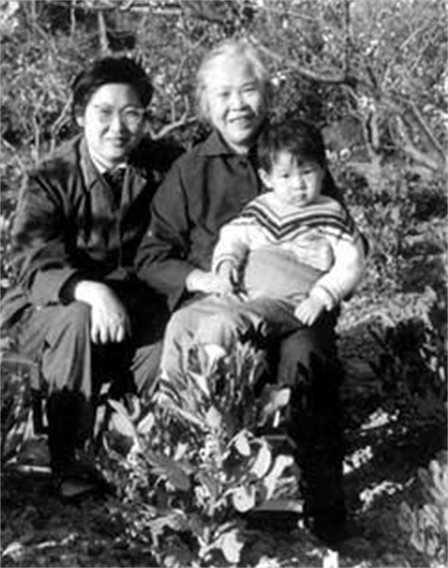 李敏为什么不认毛金花，1977年杨月花会见李敏