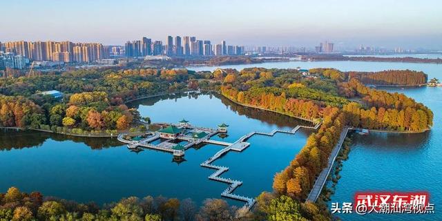 中国十大淡水湖排名，中国十大淡水湖泊排名是什么（中国十大最美湖泊）