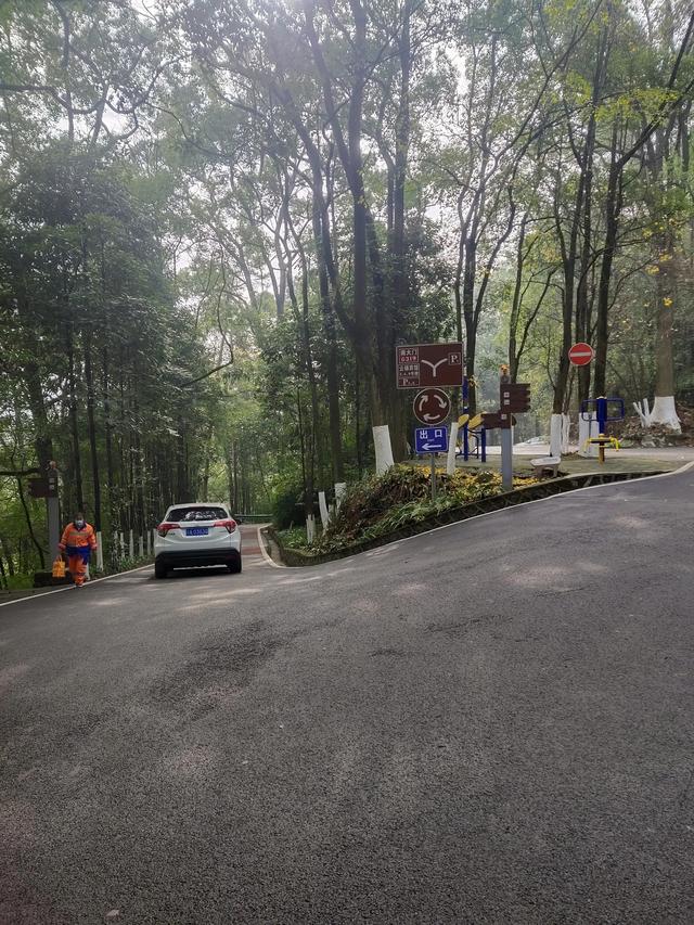 歌乐山森林公园，重庆旅游必去景点（歌乐山国家森林公园）