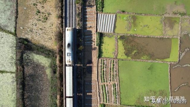 旅游最适合的城市，什么城市最适合旅游（推荐这4个气候宜人的城市）