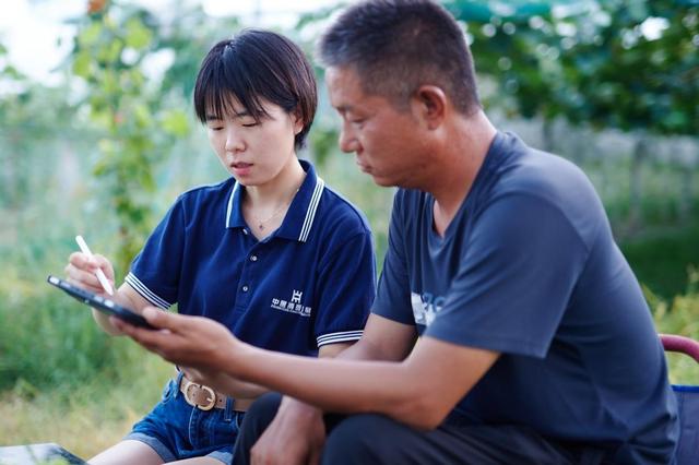 中原消费金融靠谱吗，中原消费金融好下款吗（葡萄架下幸福路——中原银行携手中原消费金融赋能乡村振兴）