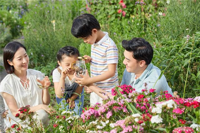 孩子厌学的原因，孩子厌学的原因及解决方法（家长若明白就知道怎么做）