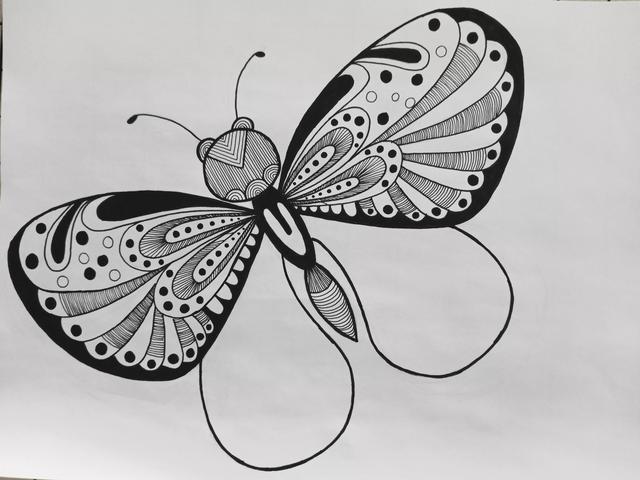 蝴蝶怎么画简单好看，如何画一个简单蝴蝶（《蝴蝶》线描画绘画过程）