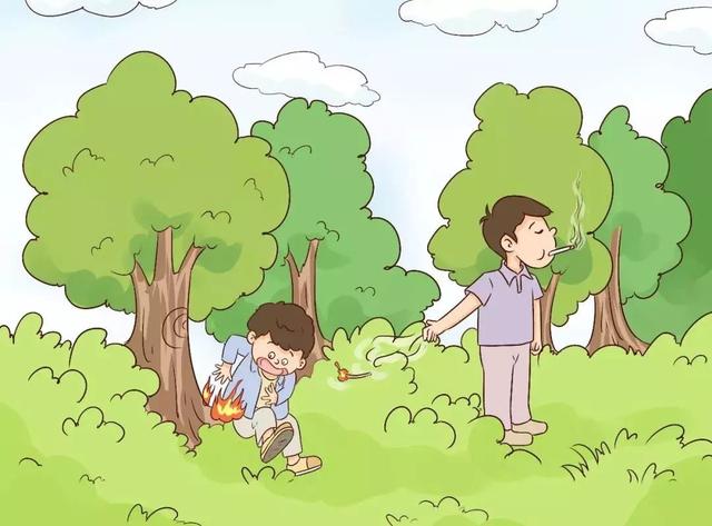 关于保护森林的一段话，关于保护森林的一段话总结（森林防灭火丨森林防火）