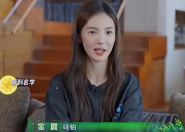 张译第一任老婆张佳宁，张译老婆张佳宁（这六位明星表面人畜无害实则道德败坏）