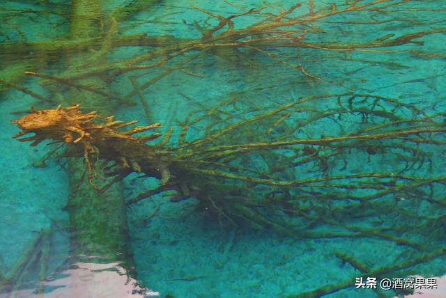 四川有什么好玩的，四川．成都有哪些好玩的地方（四川值得一去的10个地方）