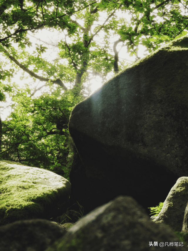 青色和蓝色的区别图片，青色和蓝色是什么颜色的图片（在照片中创造性地使用色调对比）