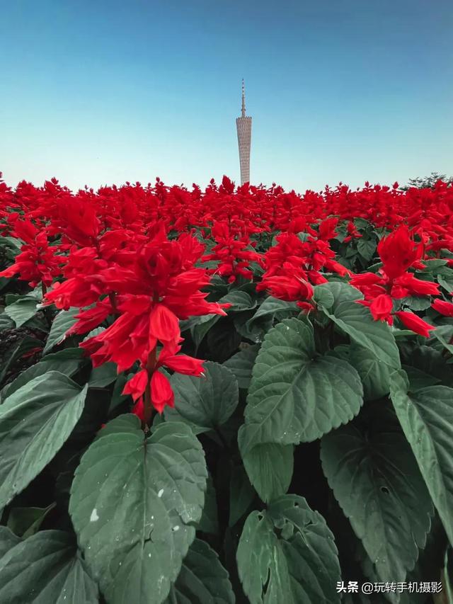 什么情况下拍照用HDR模式，拍照中的hdr是什么模式（你想不到的公园拍照技巧）