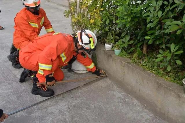 中国最大的蛇是什么蛇，中国最大的蛇是什么蛇图片（广东梅州发现70斤巨蟒）