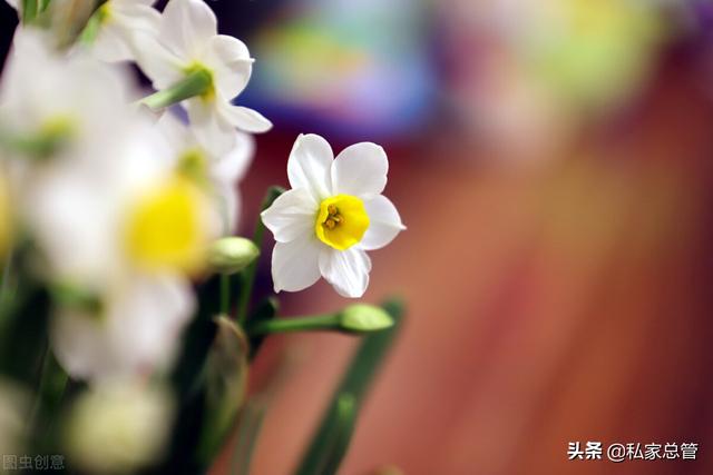 感恩帮助过我的人，感恩帮助过我的人句子（感恩于那些在人生路上）