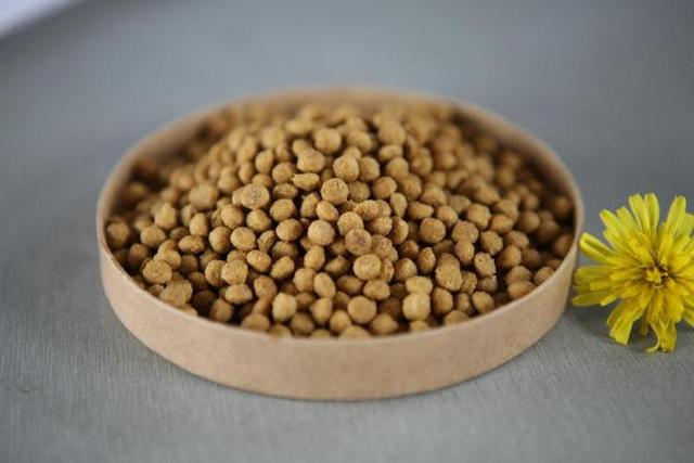 怎样给小猫喂猫粮，猫粮怎么给小猫吃（错了，附上改善猫咪饮食的技巧）