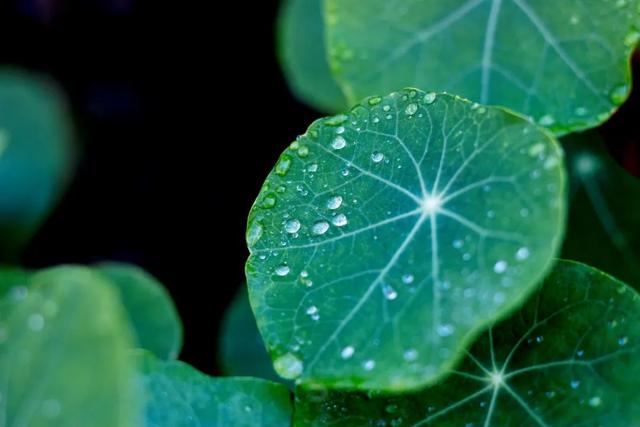 形容晚上的词语，形容晚上天气好的词语（白露暧秋日，月明清漏中）