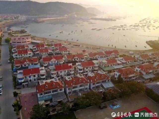 鳆鱼（鳆鱼怎么读），如何挑选鳆鱼（2021登州“苏公日”和“海市会”）