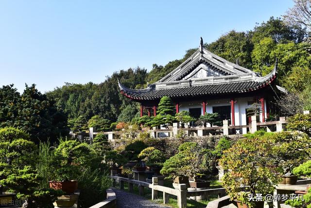 苏州虎丘景点介绍及游玩路线，苏州旅游景点虎丘地点（<江苏苏州5A景区>）