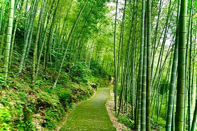 中国最宽的瀑布，中国最宽的瀑布是什么（位于广州从化区——千泷沟大瀑布）