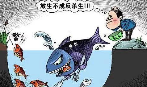 鳄鱼生活在哪里，吃什么（警方鉴定后：竟然是非洲尼罗鳄）