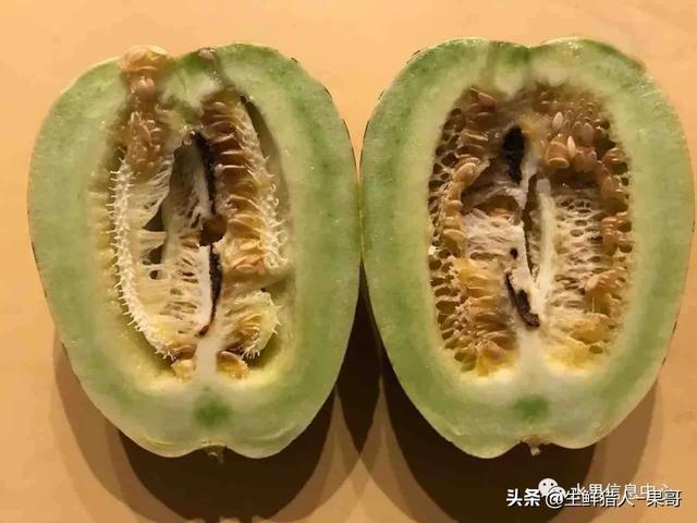 绿色的哈密瓜叫什么，绿色的哈密瓜叫什么名字（哈密瓜、蜜瓜、网纹瓜、香瓜、羊角蜜傻傻分不清）