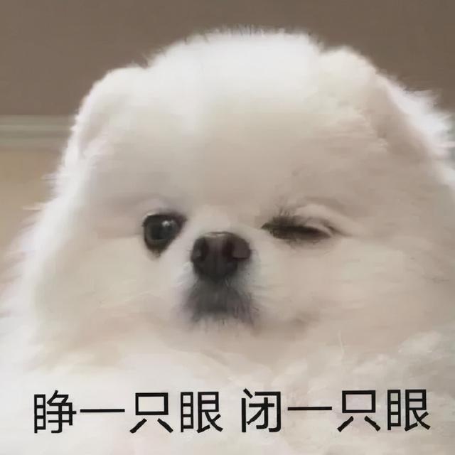 银针菇（胤禛果儿），高钾低钠超暖胃（金针菇的功效与作用）