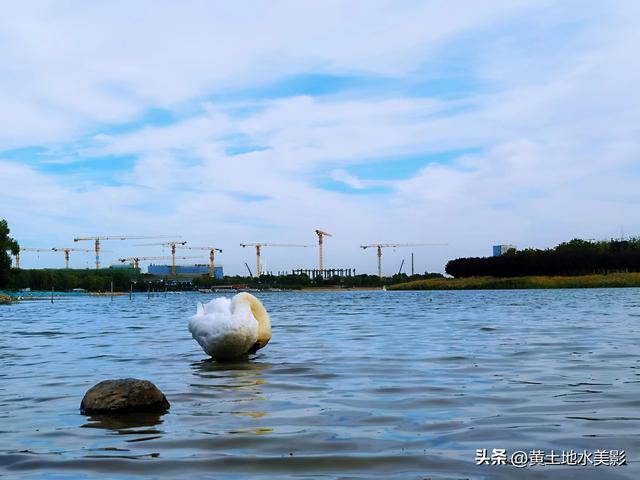 郑州龙湖湿地公园现状分析，河南郑州龙湖湿地公园秋色初露