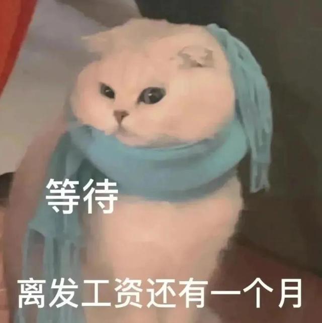 萌宠表情包，微信头像，萌宠表情包（萌宠表情包：我的爱是垃圾吗）