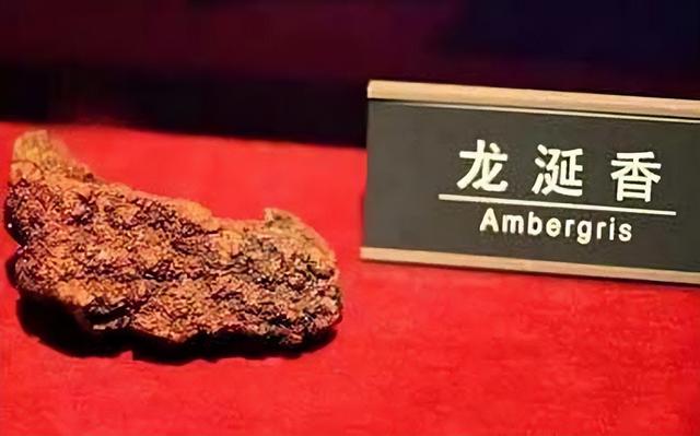 世界上最大的海是，世界上最大的海（海洋里已知最大的5种动物）