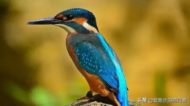 形容安静的句子，形容安静的唯美句子（让人安静的句子）