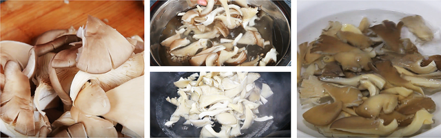 蘑菇种类大全，蘑菇的分类有哪些（我家常吃的5种菌菇）