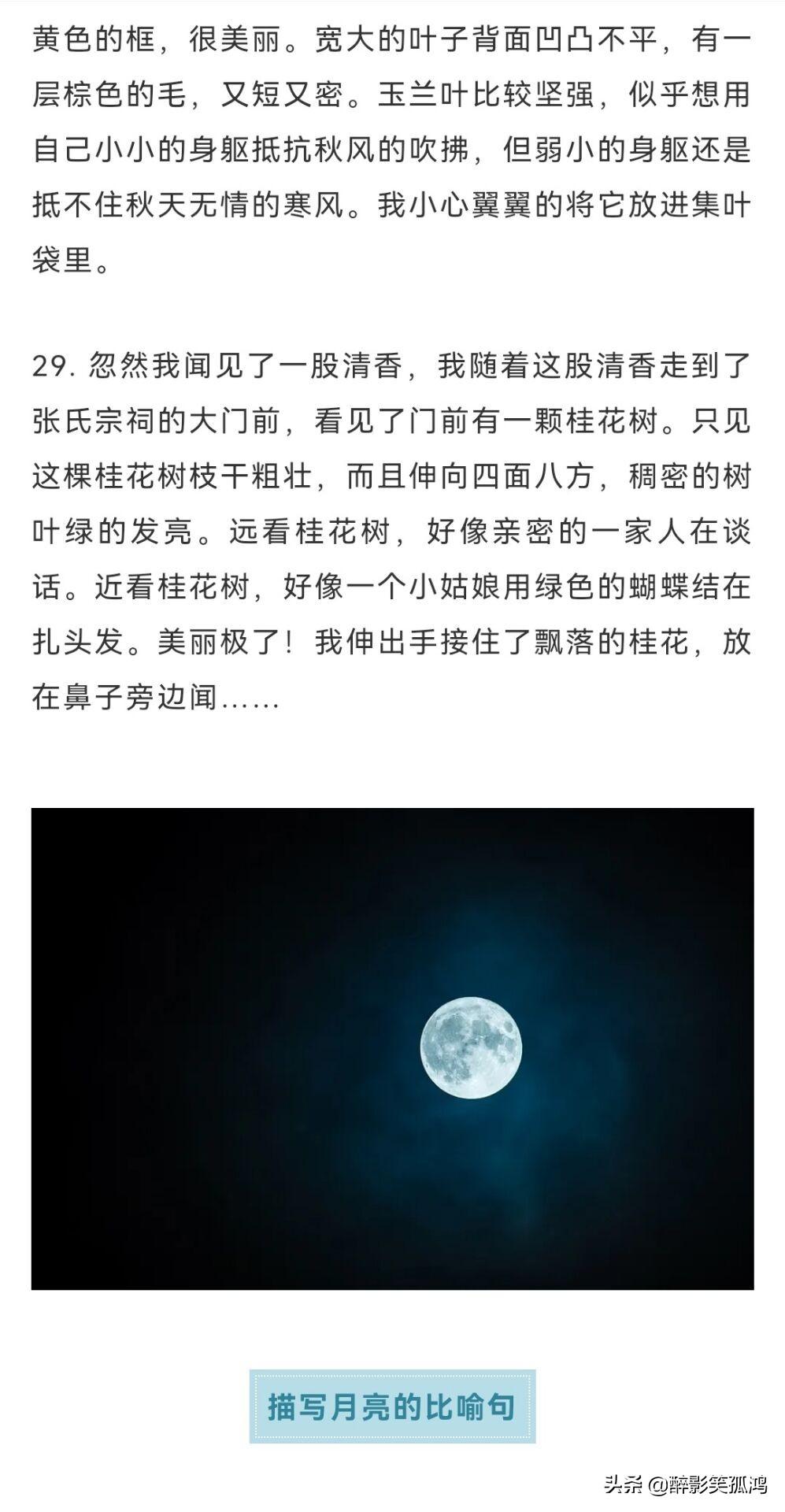 大自然的优美语句，大自然优美语句（描写自然景物的好句好段）