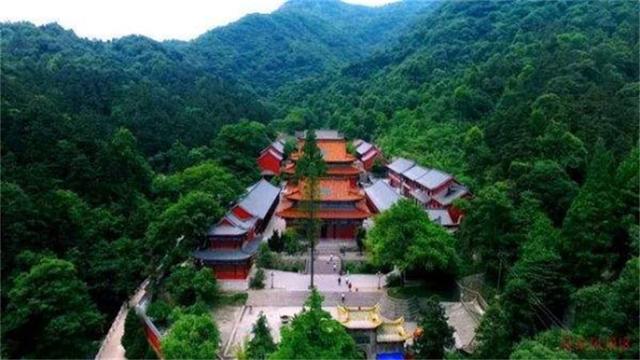 河南好茶推荐，行走河南·读懂中国丨信阳