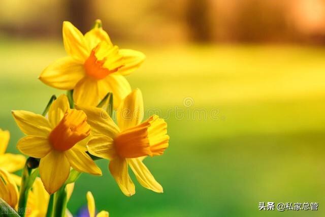 感恩帮助过我的人，感恩帮助过我的人句子（感恩于那些在人生路上）