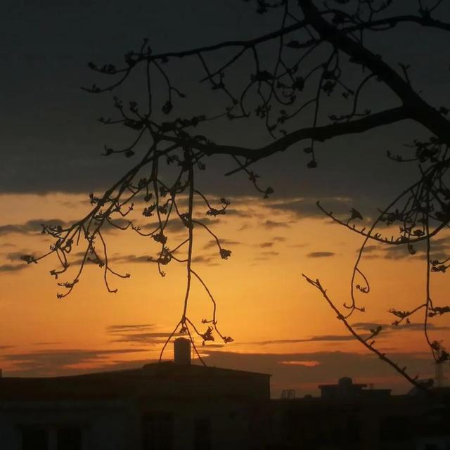 梦见太阳升起是什么意思，梦见太阳升起是什么意思（文案，适合配风景照的温柔文案）