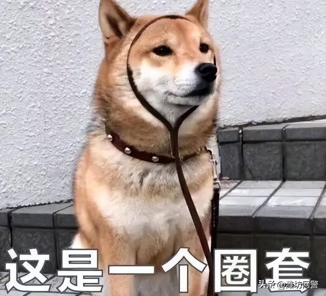 网上打工赚钱(有什么可以做的兼职)