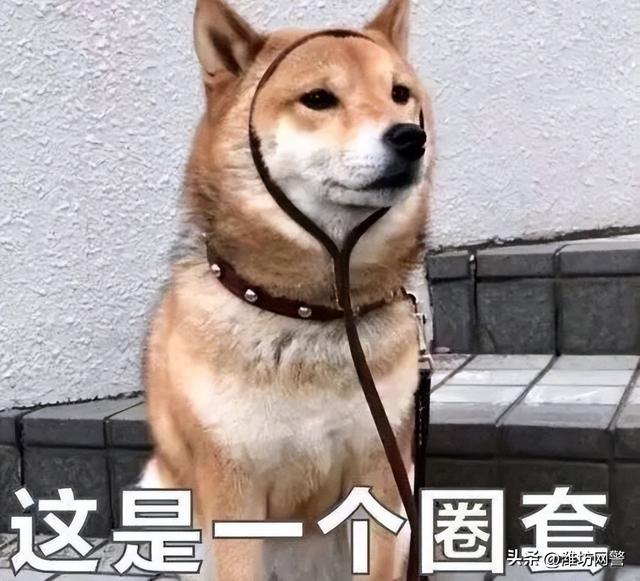 网络赚钱方法，网络上的挣钱方法（刷单兼职怎样最赚钱）