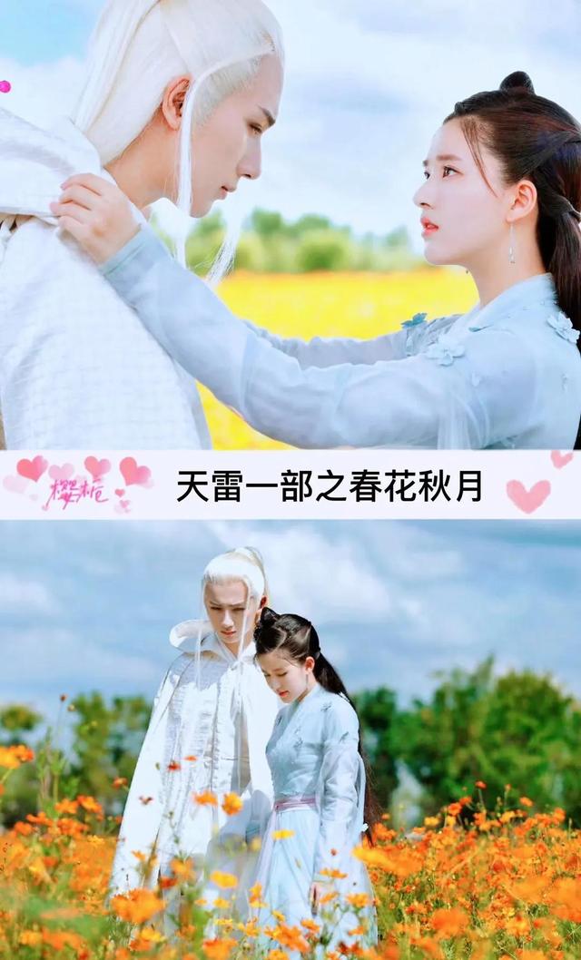 邢昭林和白鹿的电视剧是哪一部，白鹿邢少林的电视剧（30部由男女主角二次合作的电视剧）