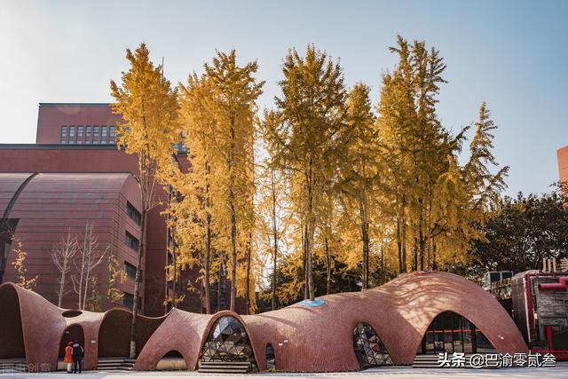 四川美术学院，四川美术学院2022年录取分数线（有人提议成都收回）