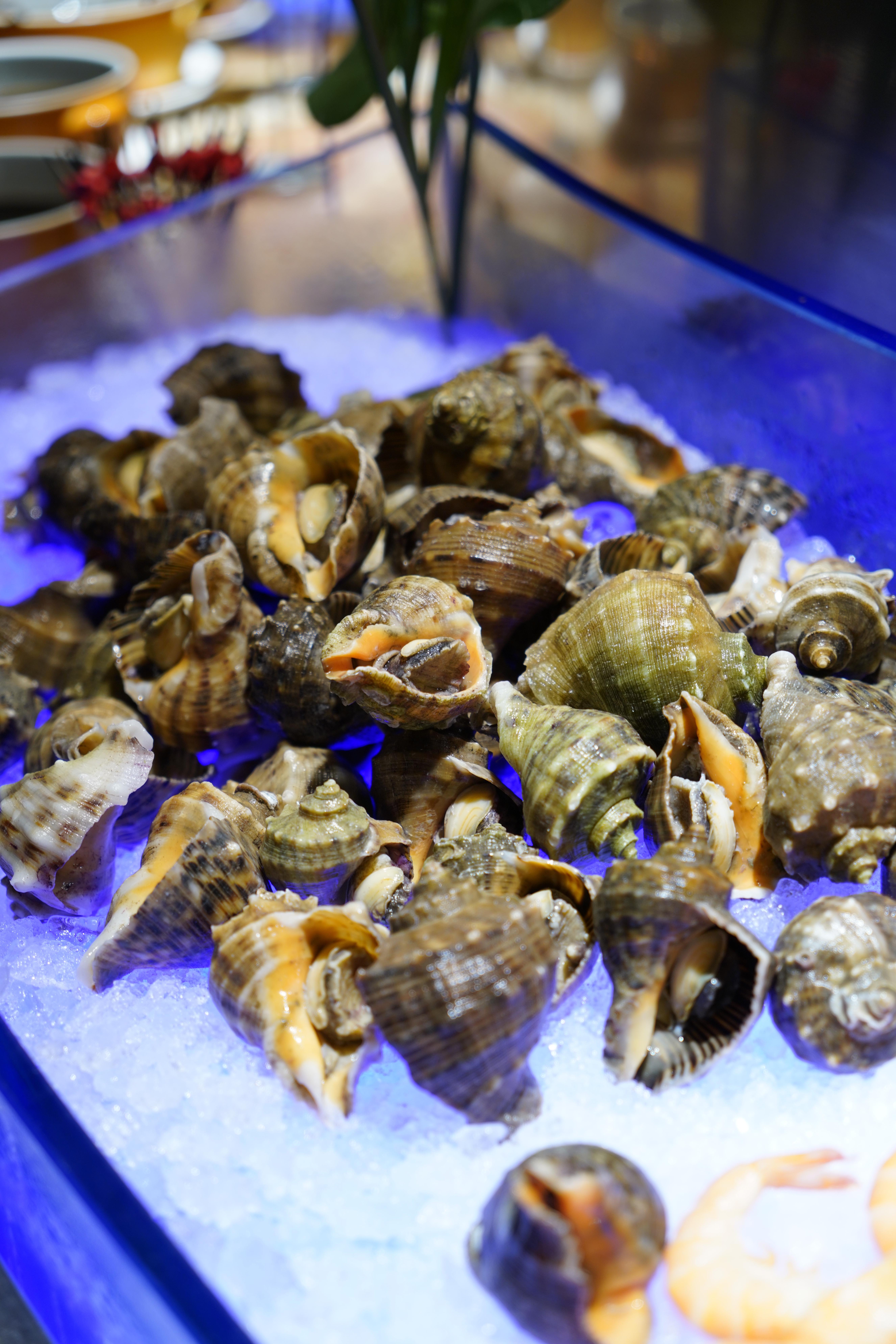 郑州上档次的自助餐厅，<九>郑州嘉锦酒店•乐彼思特海鲜自助餐厅