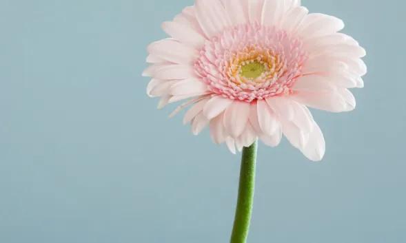 安慰别人一切都会好起来的句子，安慰别人一切都会好起来的句子一篇作文（自己安慰自己的治愈文案）