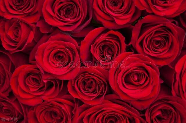 玫瑰花语有，玫瑰的花语（玫瑰花语大全）