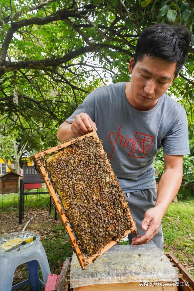 土特产店名，土特产店名一般叫什么（偶遇广东揭西县两位牛人）